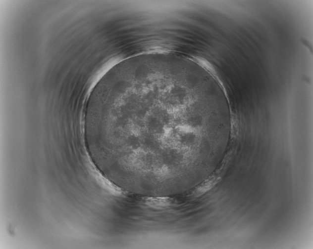 X0000102250859200807251320