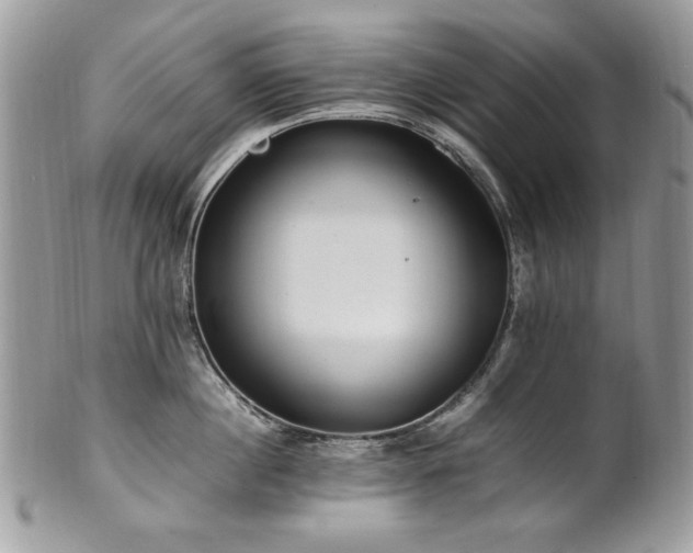 X0000102250860200807251320
