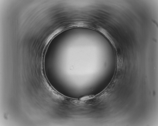 X0000102250861200807251320