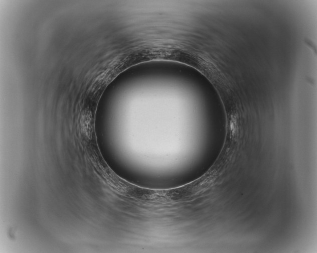 X0000102250867200807251320