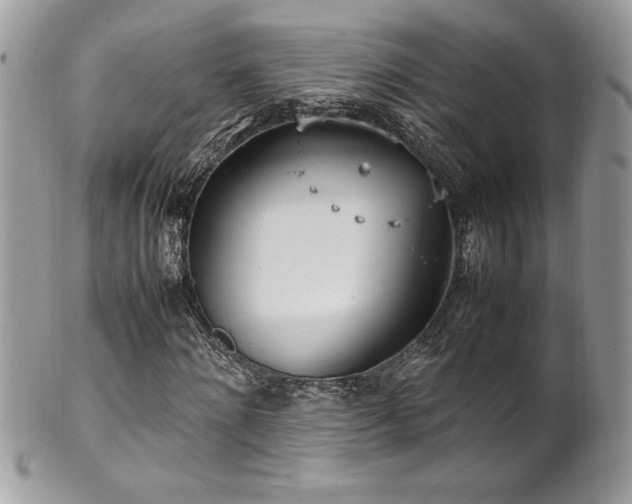 X0000102250868200807251320
