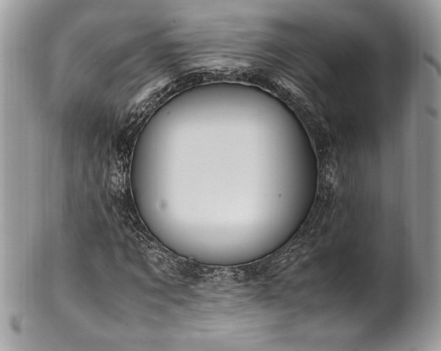 X0000102250869200807251320
