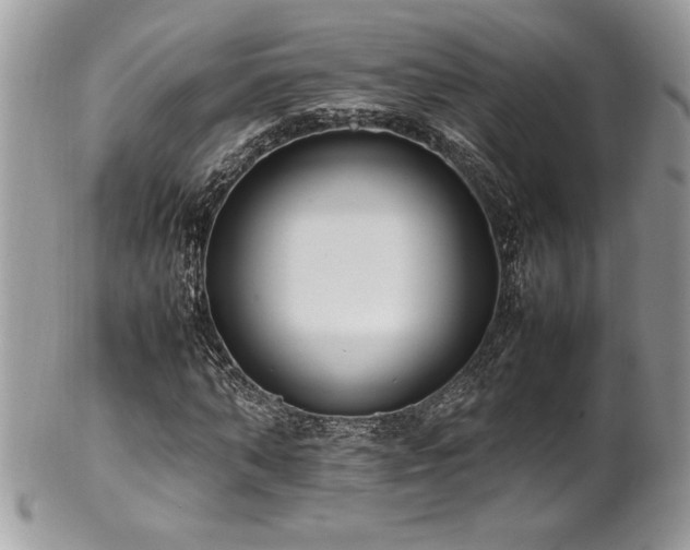 X0000102250870200807251320