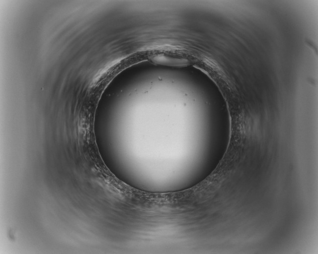 X0000102250872200807251319