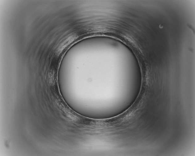 X0000102250873200807251319
