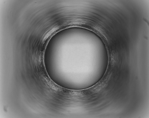 X0000102250874200807251319