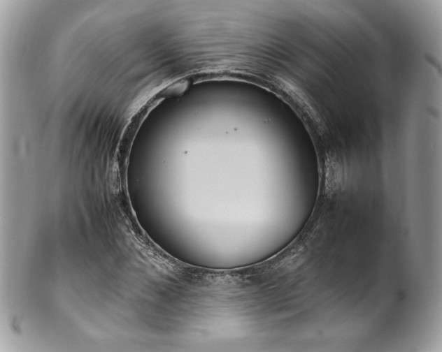 X0000102250876200807251319