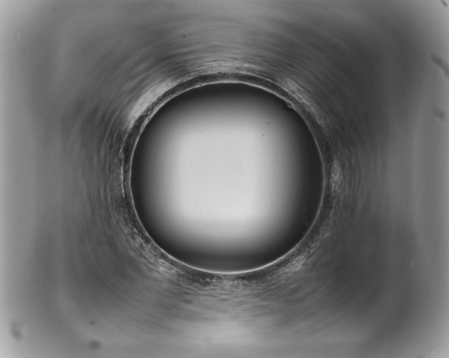 X0000102250877200807251319