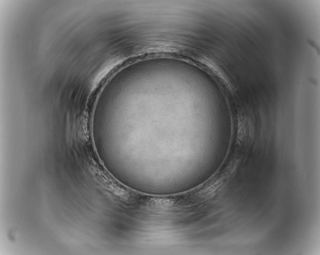 X0000102250878200807251319