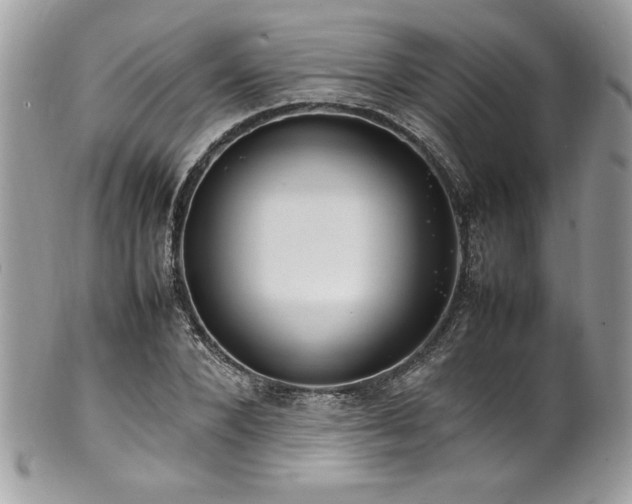 X0000102250880200807251319