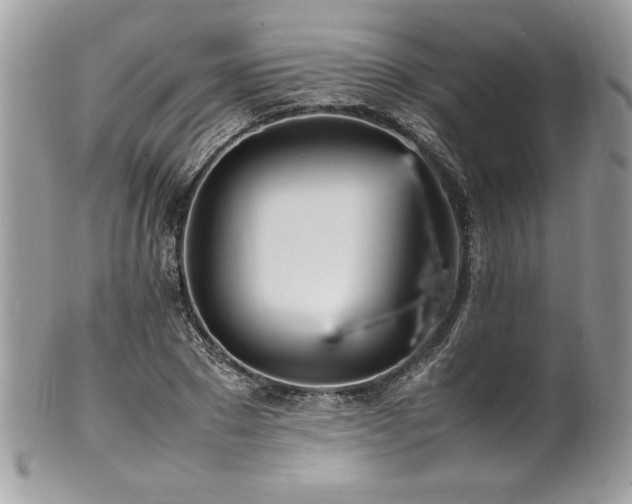 X0000102250881200807251319