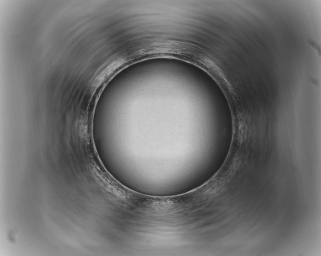 X0000102250882200807251319