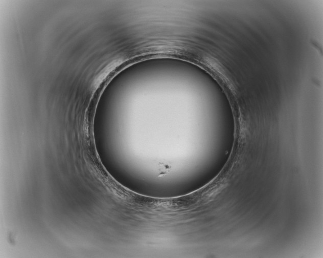 X0000102250883200807251319