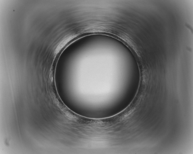 X0000102250885200807251319
