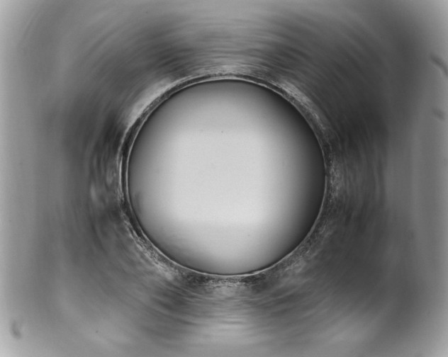 X0000102250886200807251319