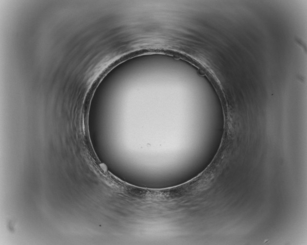 X0000102250887200807251319