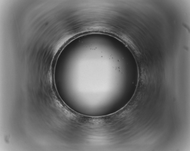 X0000102250888200807251319