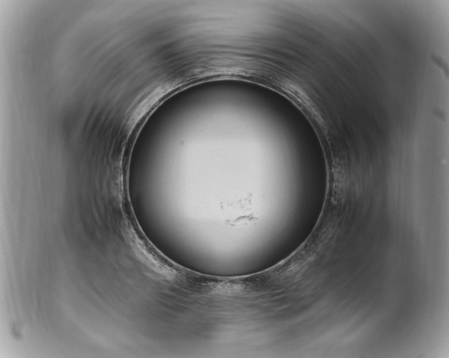 X0000102250890200807251319