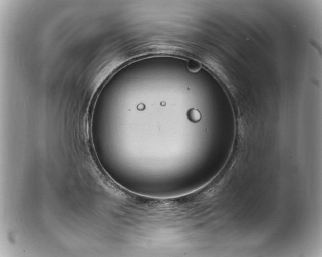 X0000102250891200807251319