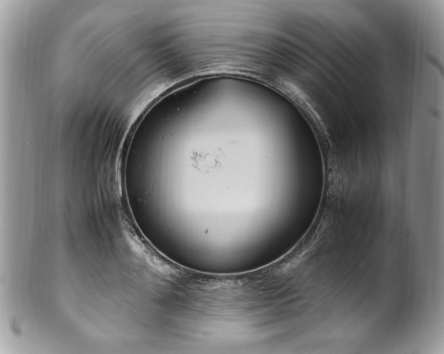 X0000102250892200807251319