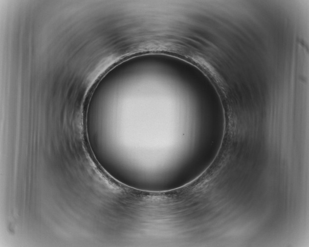 X0000102250894200807251319