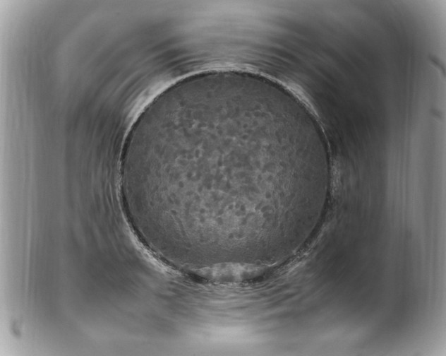 X0000102250895200807251319