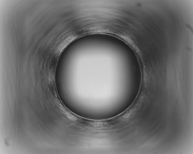 X0000102250897200807251319