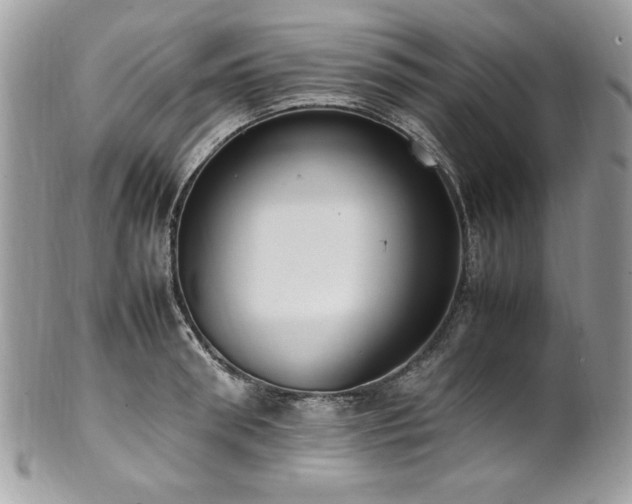 X0000102250898200807251319