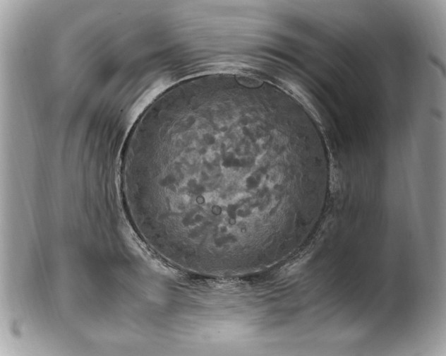 X0000102250899200807251319