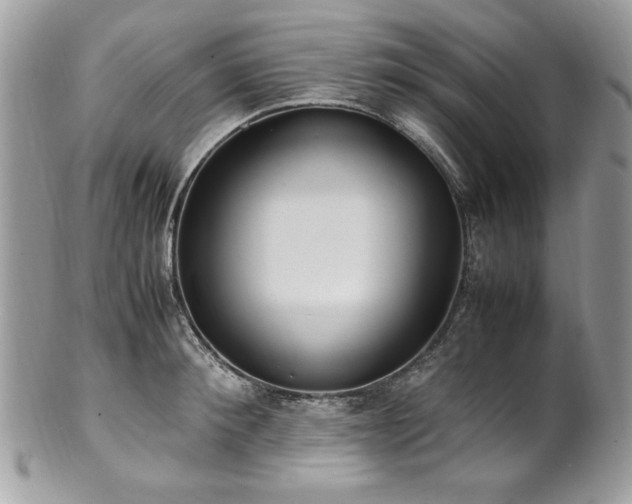 X0000102250900200807251319