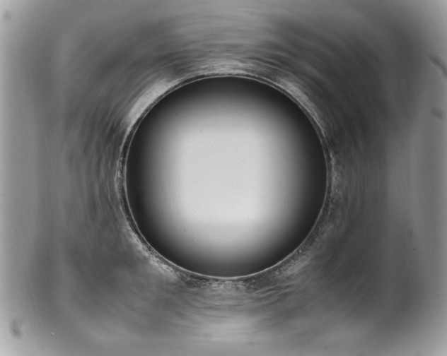 X0000102250901200807251319