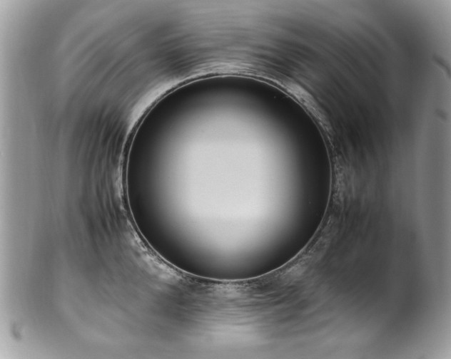 X0000102250904200807251319