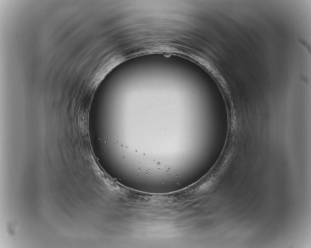 X0000102250905200807251319
