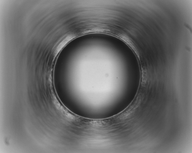 X0000102250906200807251319