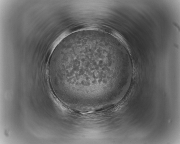 X0000102250907200807251319