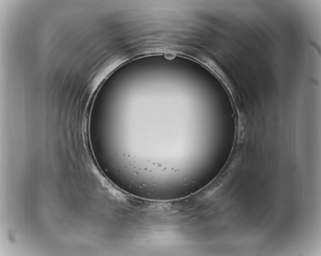 X0000102250909200807251319