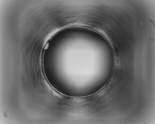 X0000102250910200807251319