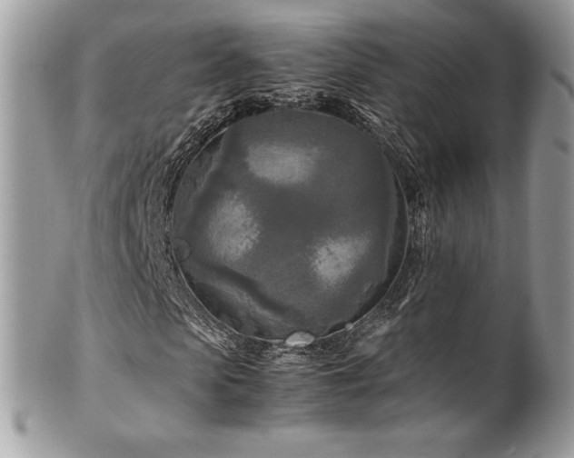 X0000102250913200807251318