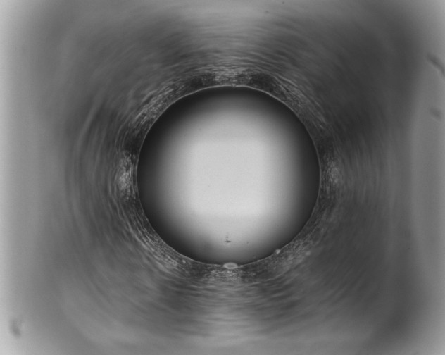 X0000102250914200807251318