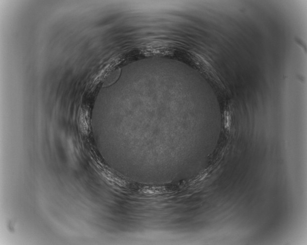 X0000102250915200807251318