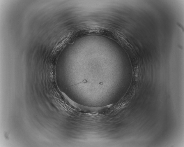 X0000102250916200807251318