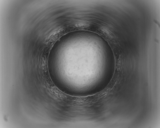 X0000102250917200807251318