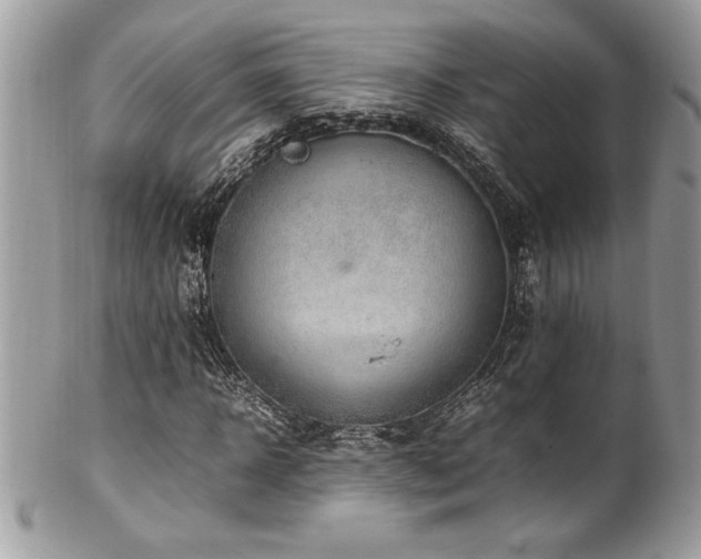 X0000102250918200807251318