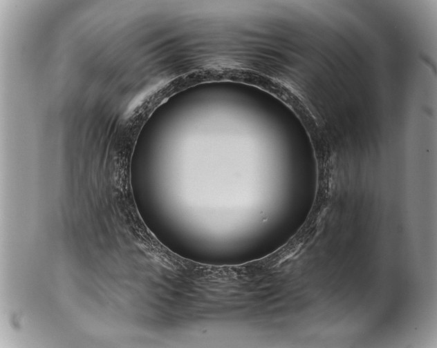 X0000102250919200807251318