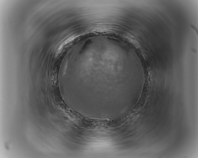 X0000102250920200807251318