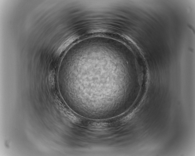 X0000102250921200807251318