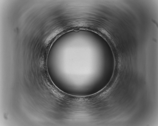 X0000102250922200807251318