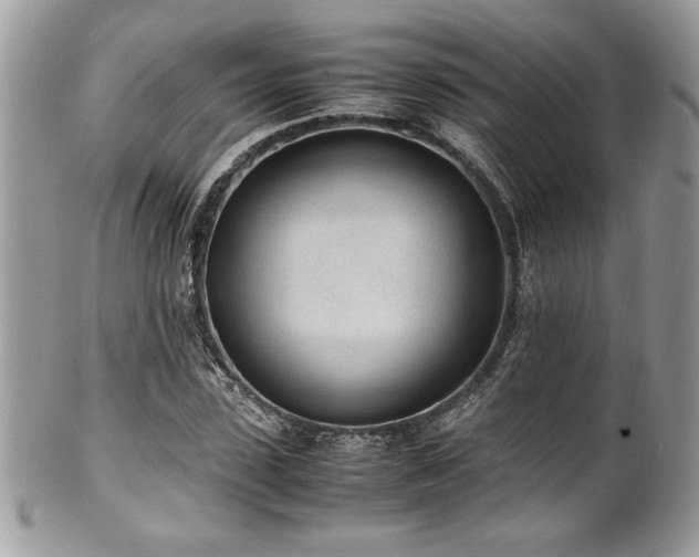 X0000102250923200807251318