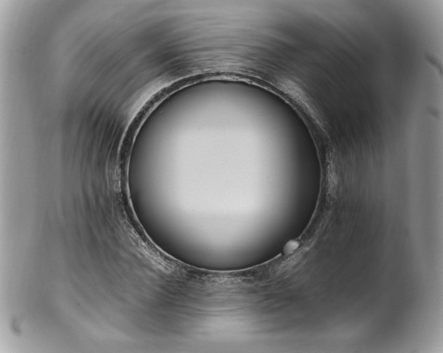 X0000102250924200807251318