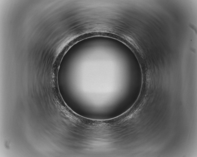 X0000102250926200807251318